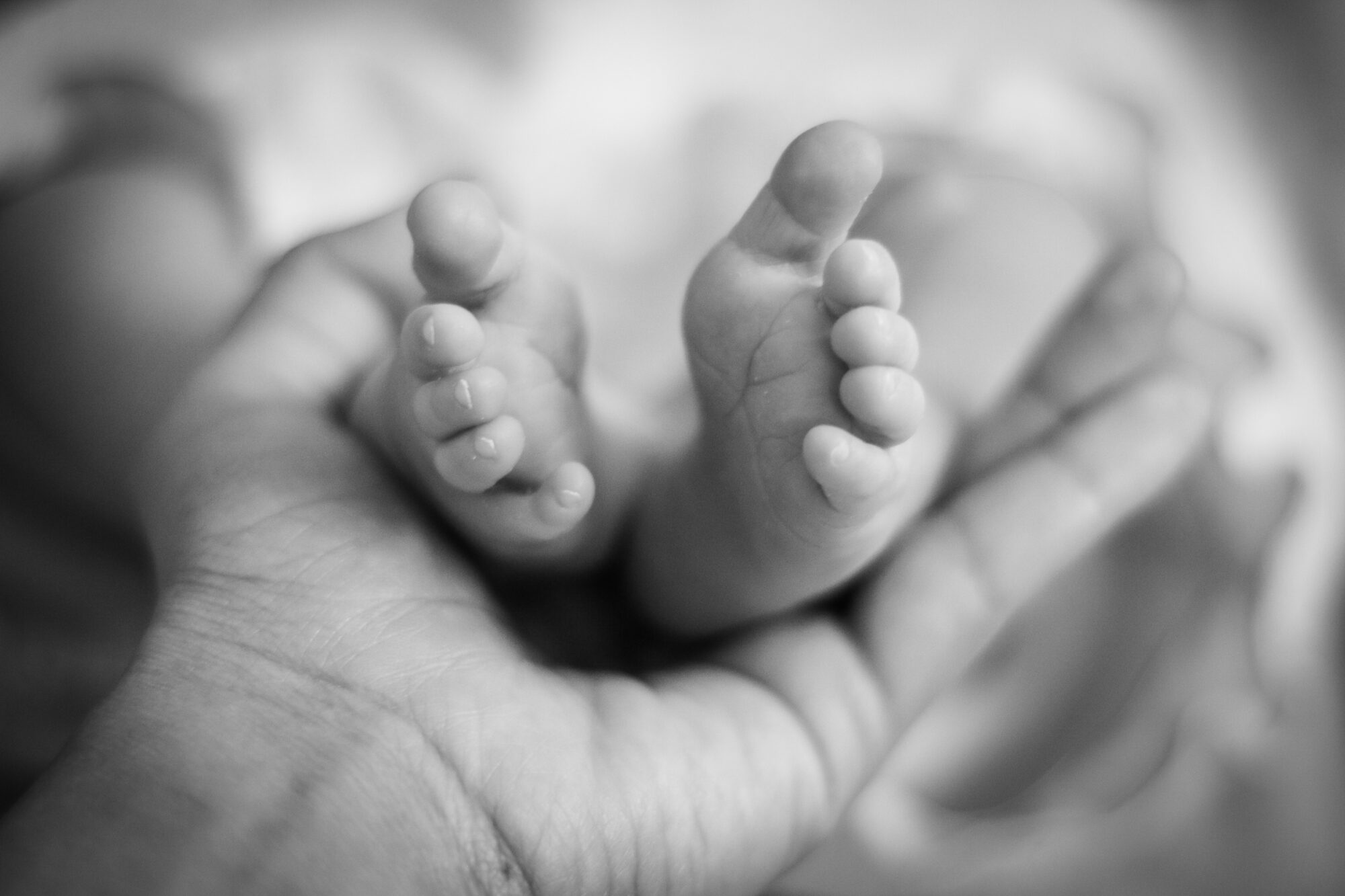 Image of a hand holding baby feet