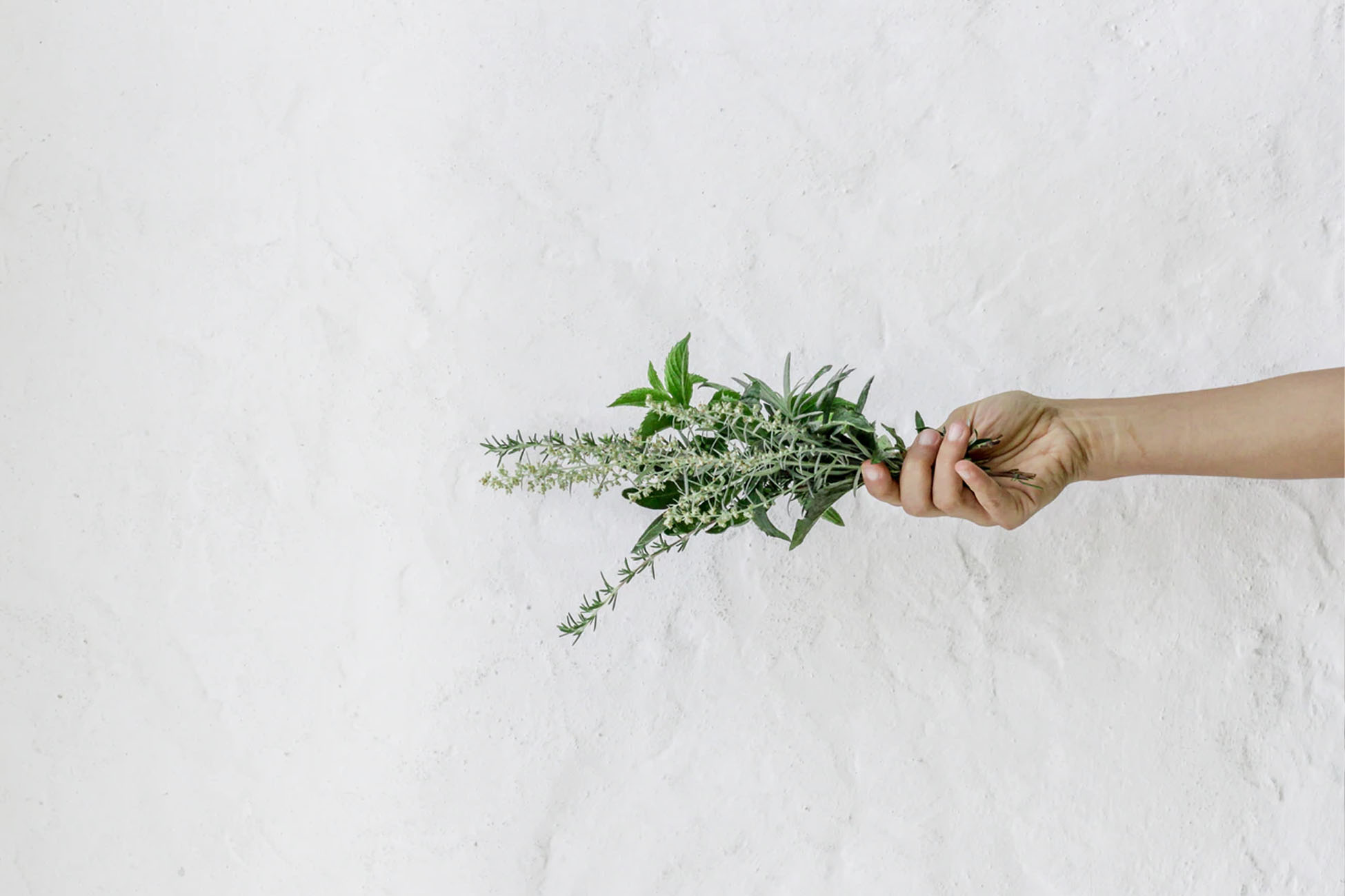A person holding herbs