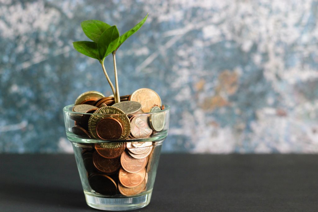 Coins in a glass with a plant growing out of them.