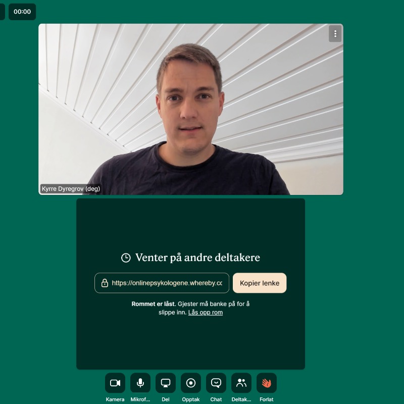 Videomøte med Onlinepsykologene