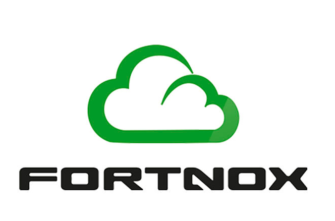 Fortnox-ikon