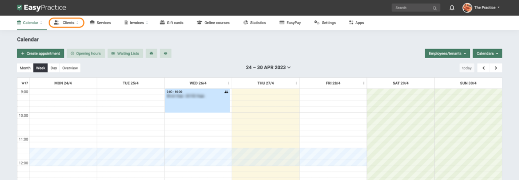 Our calendar view in EasyPractice system
